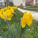 Vinarstvi Zatloukal Na Kine
