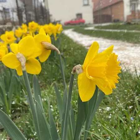 Vinarstvi Zatloukal Na Kine